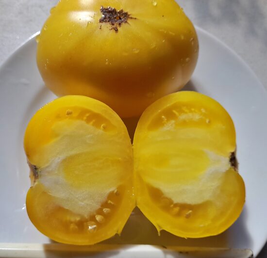 Гном Фантазия Уолтера